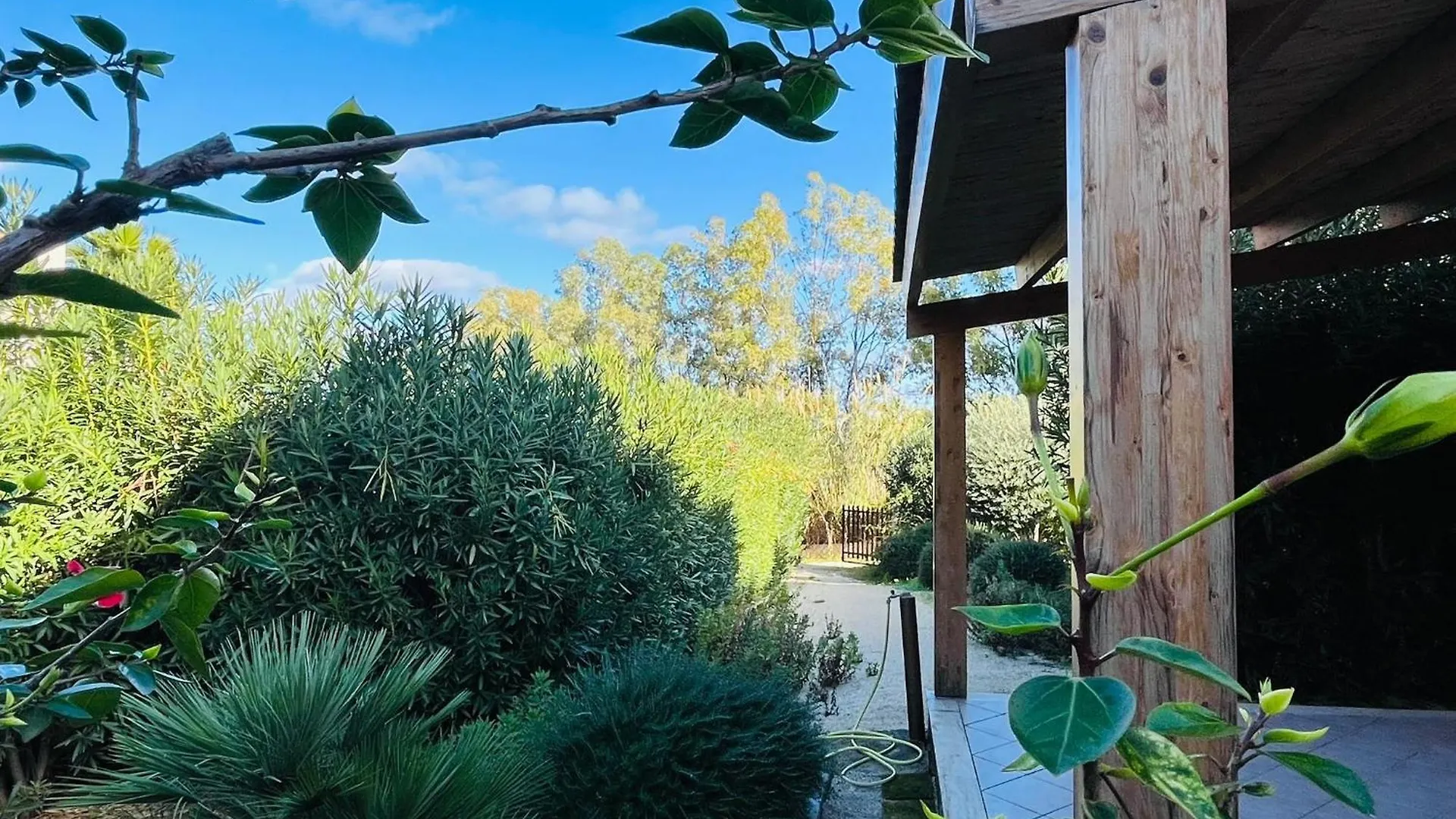 Villa Berretta By Sicily Travelling Villas Scopello